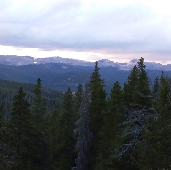 Meet your Posher, Ellie - Picture 2 of 3